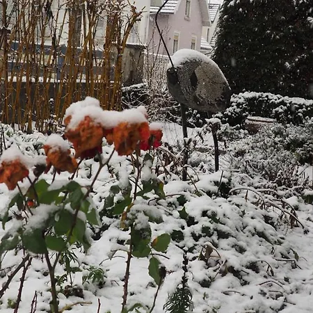 Apartament Du Heron La Wantzenau