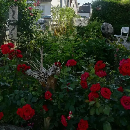 Du Heron Apartmán La Wantzenau