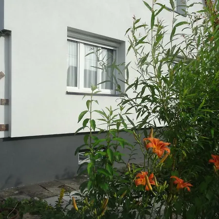 Du Heron La Wantzenau